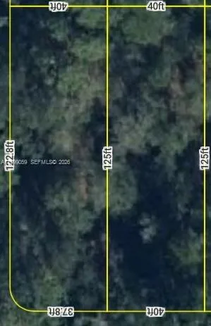 1714 & 1716 MAGNOLIA ST, Sebring, FL 33875 photo 3
