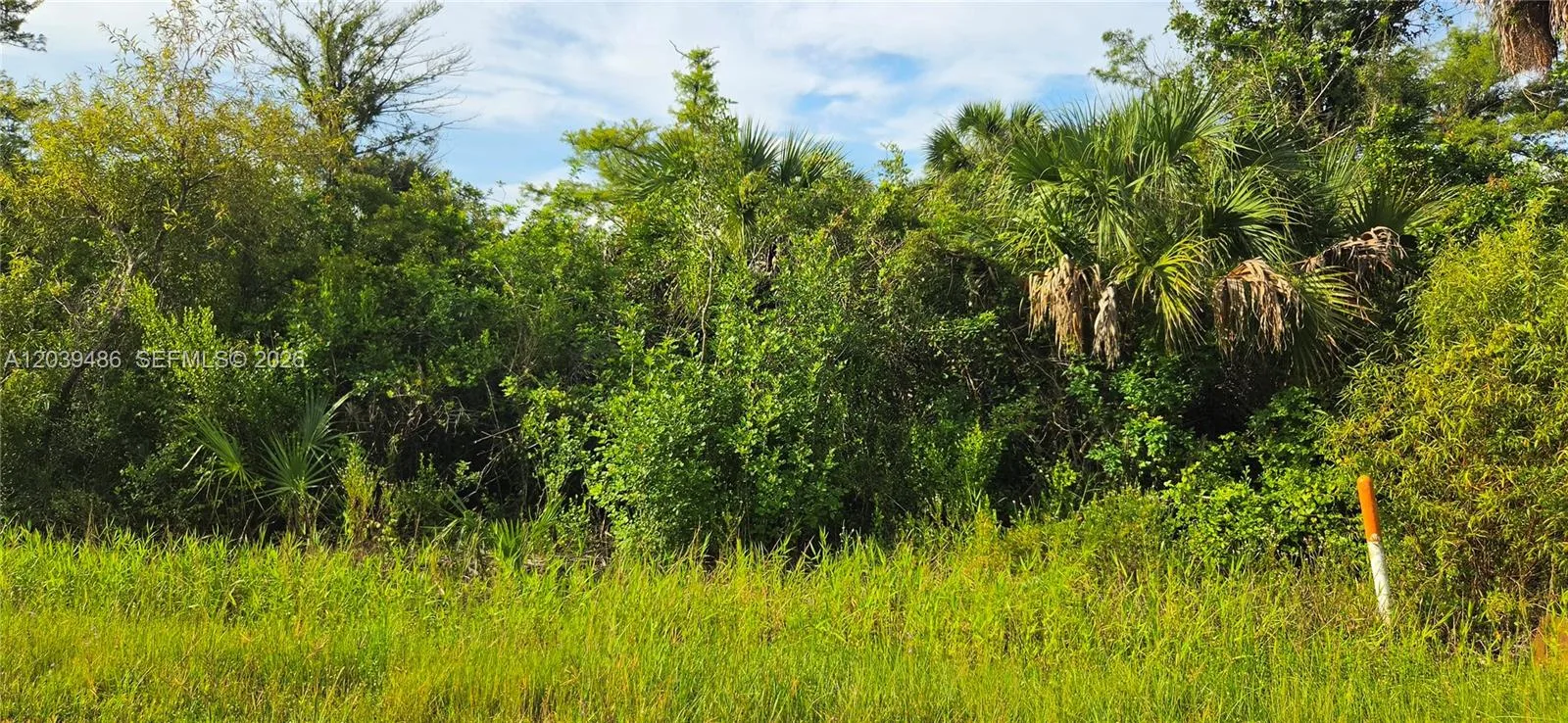 XXXX NE 45TH ave, Naples, FL 34120 photo 4