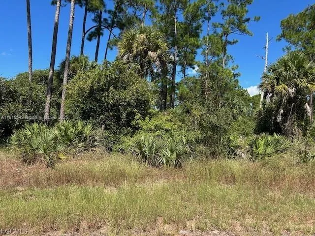 675 NASSAU CIR, La Belle, FL 33935