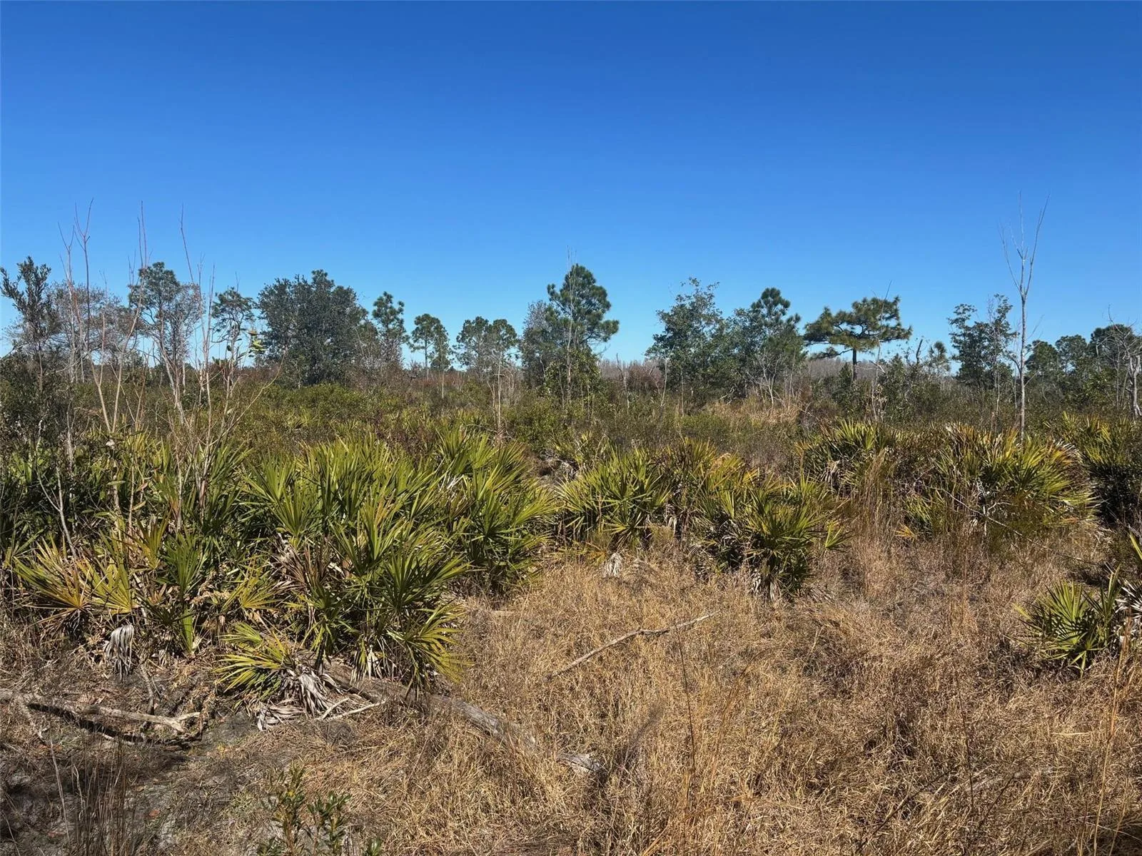 0 Xeriscape Nursery Road, Frostproof, FL 33898