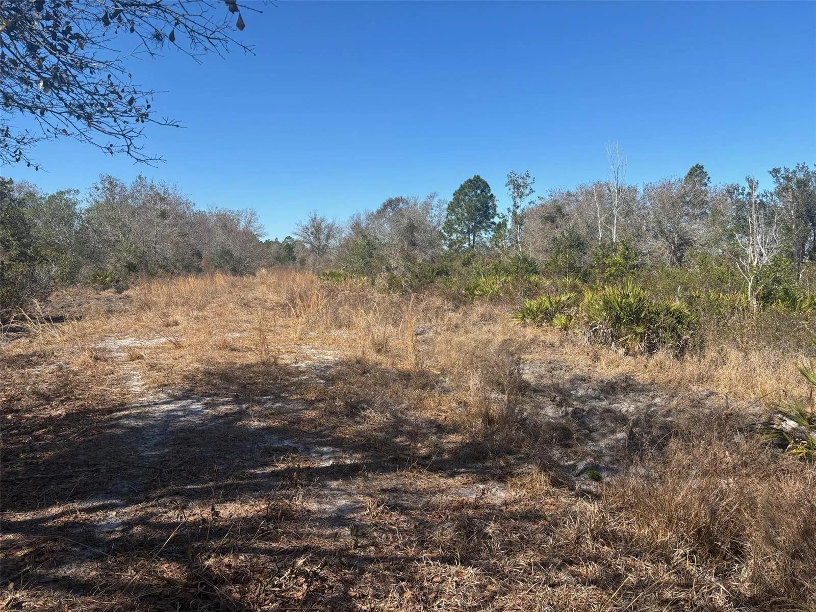 0 Xeriscape Nursery Road, Frostproof, FL 33898 photo 2