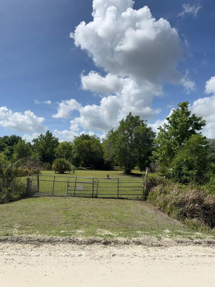 19636 NW 272nd Street, Okeechobee, FL 34972 — zdjęcie 2
