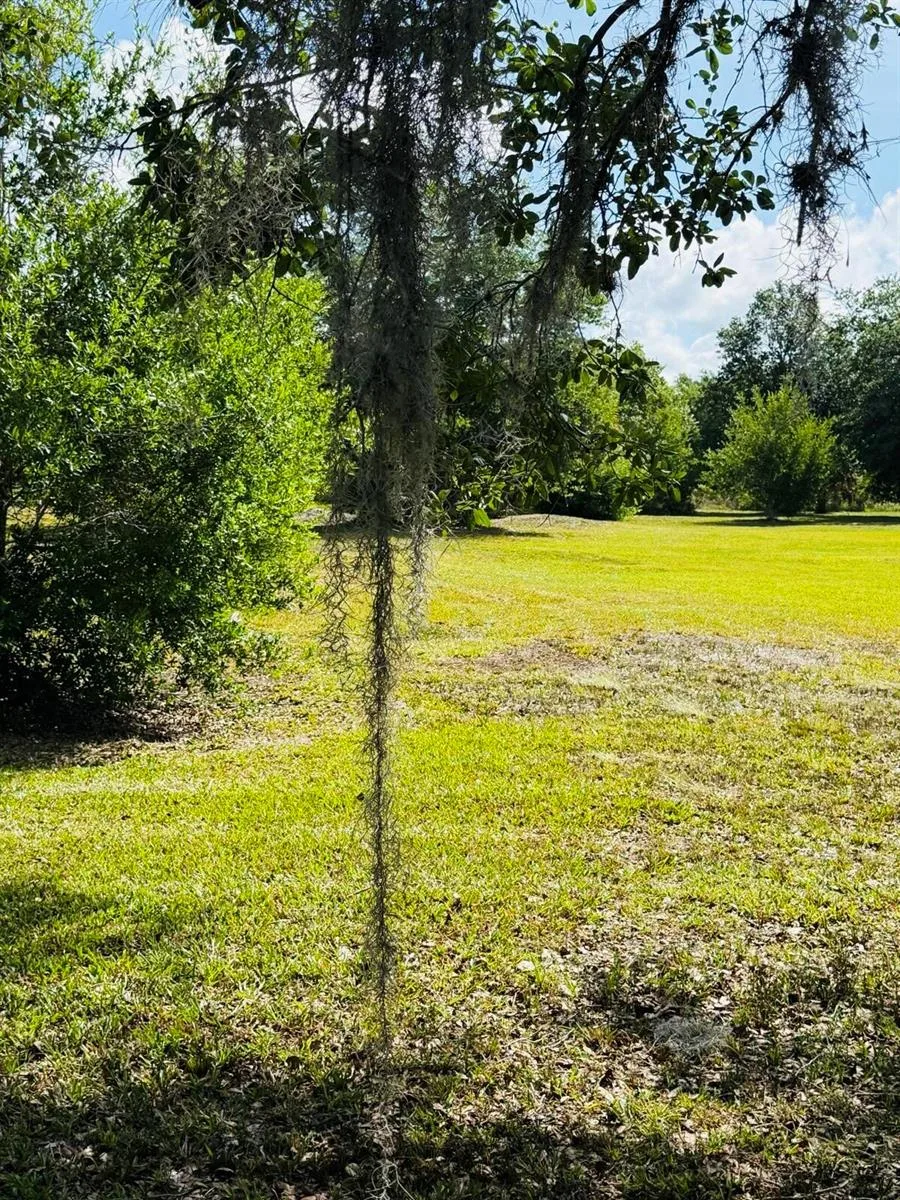 19636 NW 272nd Street, Okeechobee, FL 34972 — zdjęcie 3