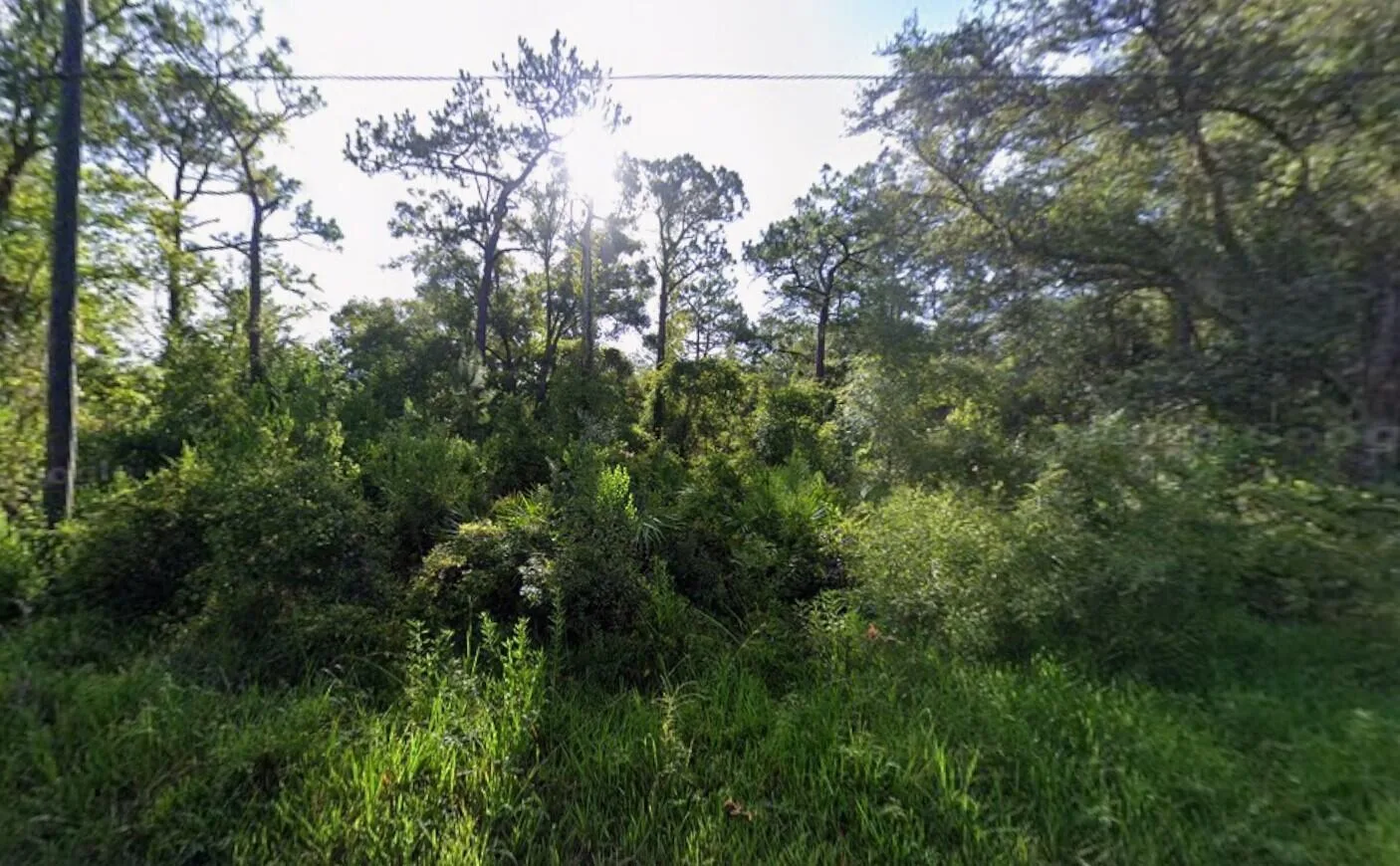 Tbd Atlee Street, New Port Richey, FL 34654