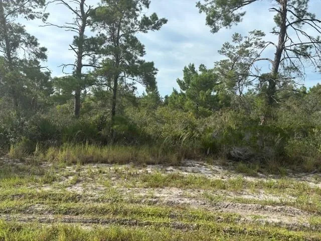 533 Boylston Street, Lake Placid, FL 33852