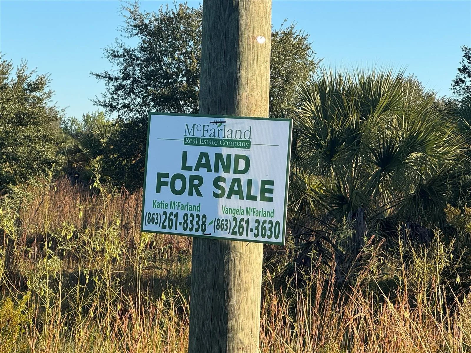 2025 Cabbage Lane, Okeechobee, FL 34974 photo 10