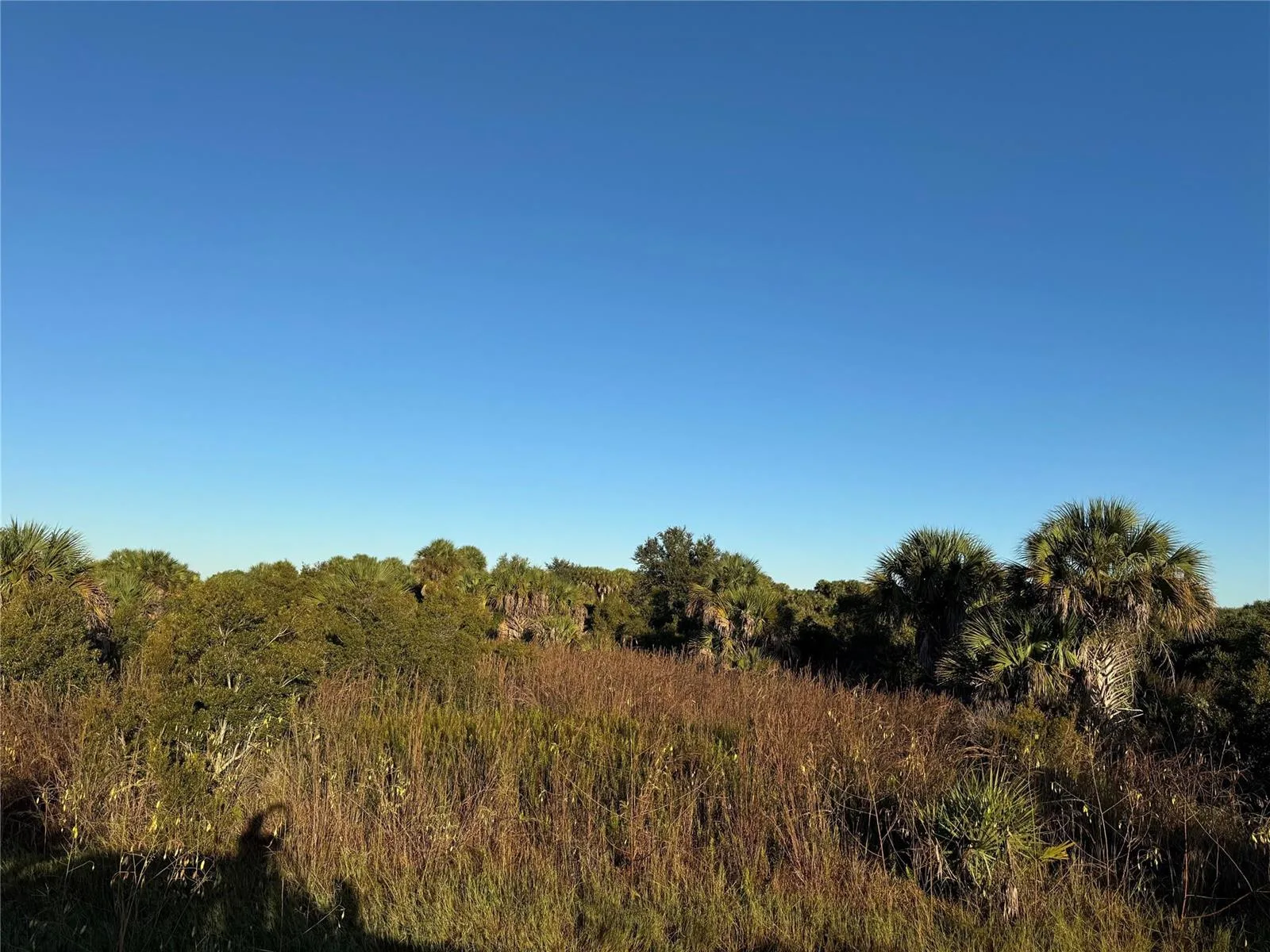 2025 Cabbage Lane, Okeechobee, FL 34974 photo 2