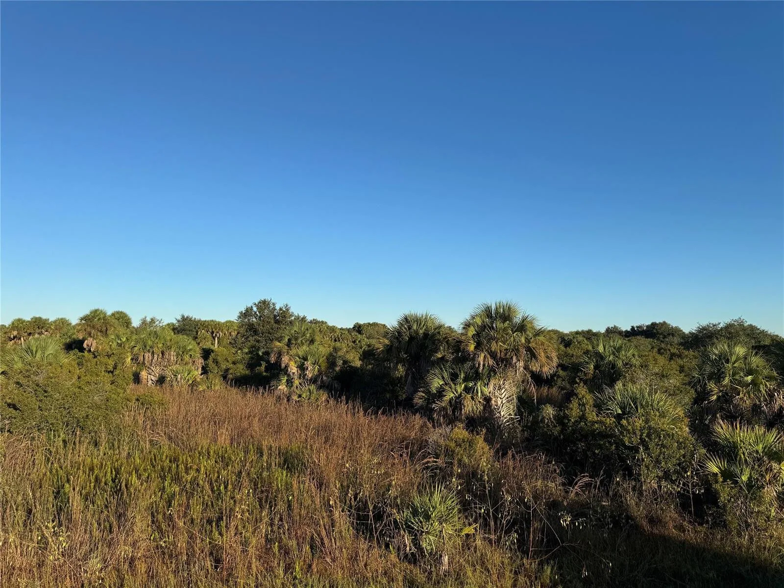 2025 Cabbage Lane, Okeechobee, FL 34974 photo 3