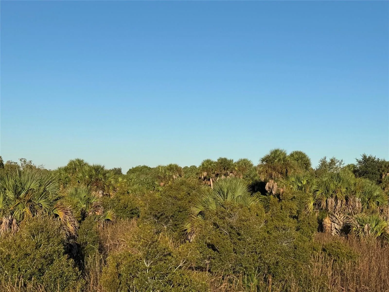 2025 Cabbage Lane, Okeechobee, FL 34974 photo 4