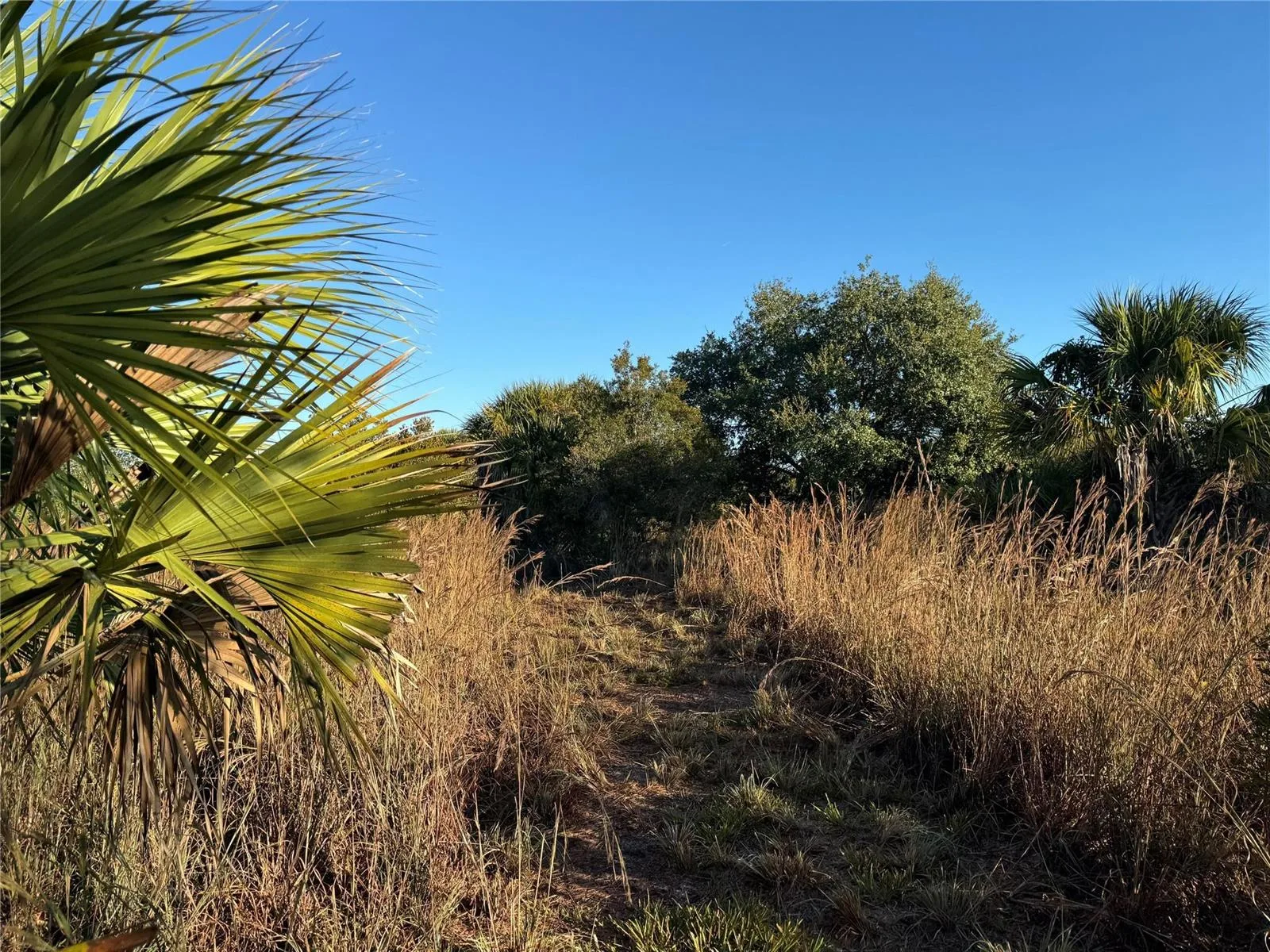 2025 Cabbage Lane, Okeechobee, FL 34974 photo 6