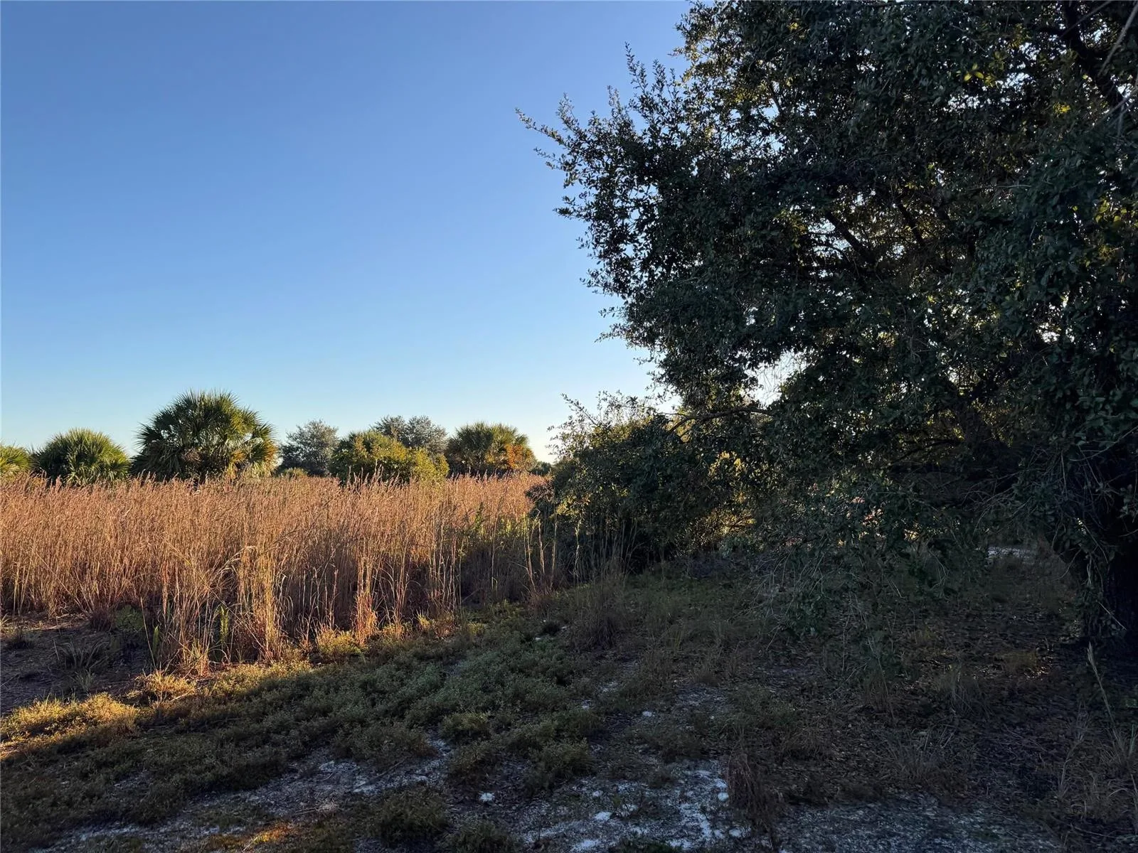 2025 Cabbage Lane, Okeechobee, FL 34974 photo 8