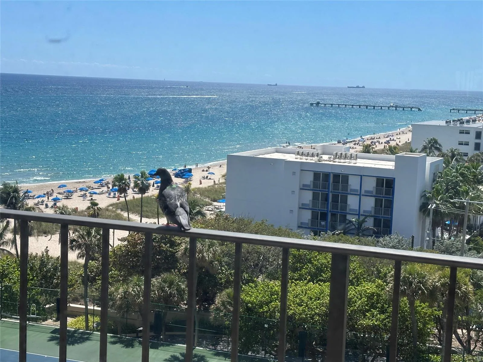 4900 N Ocean Boulevard # 1003, Lauderdale By The Sea, FL 33308