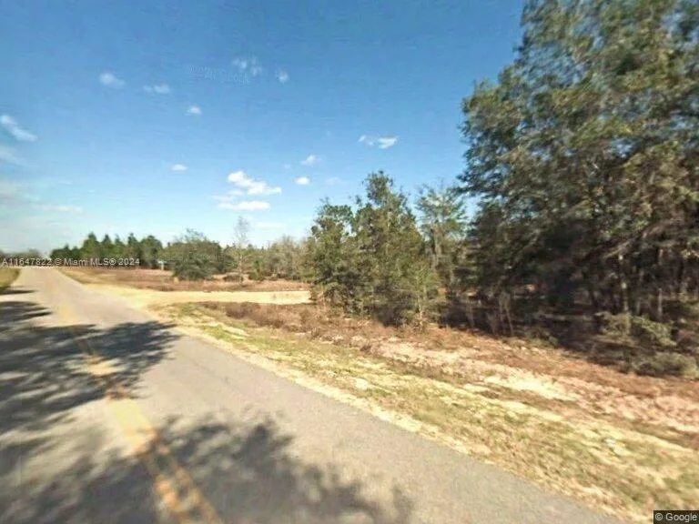 254 Chesser Monroe Rd, Palatka, FL 32640