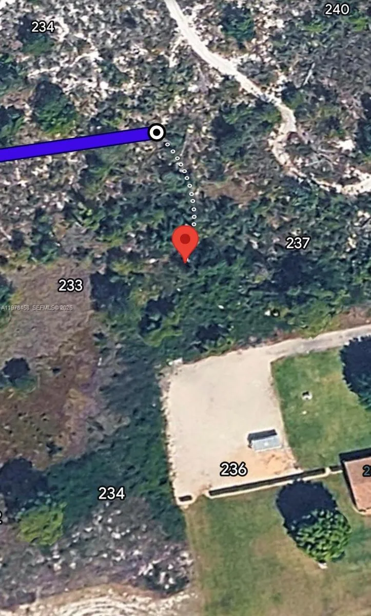 235 Pershing Ave, Lake Placid, FL 33852 photo 2