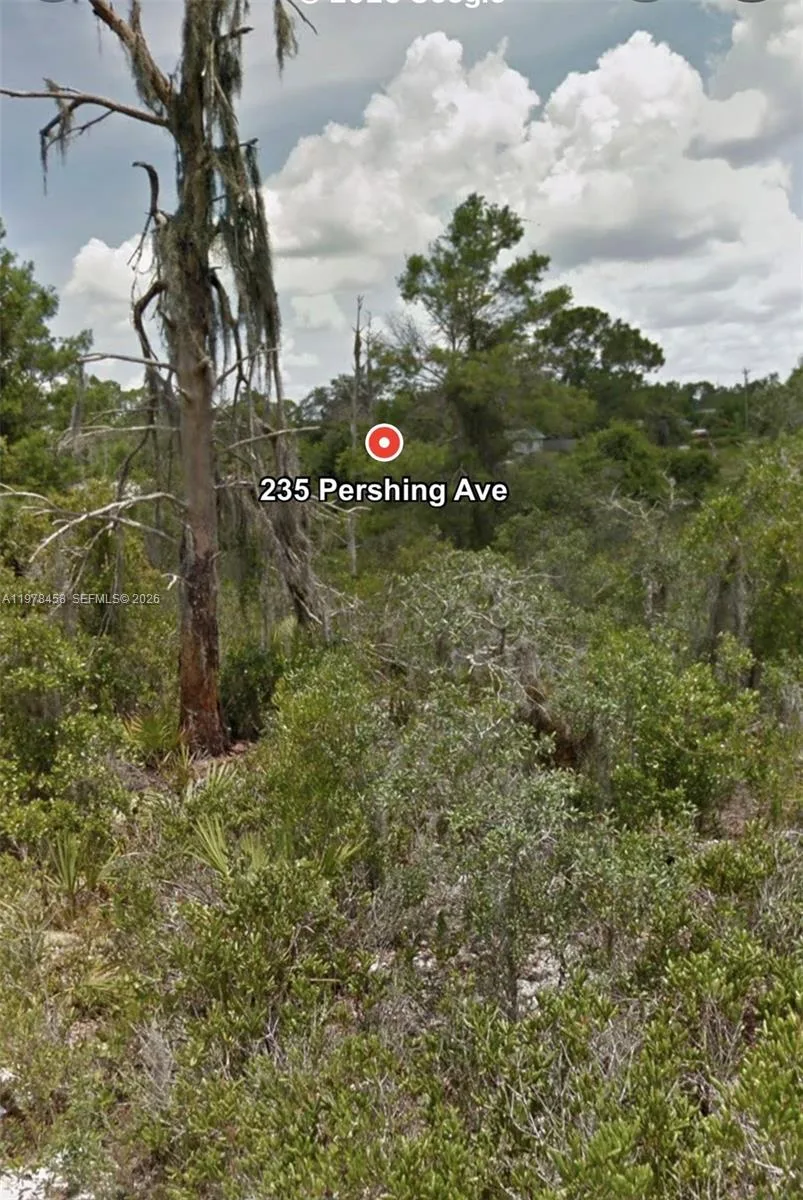 235 Pershing Ave, Lake Placid, FL 33852 photo 5