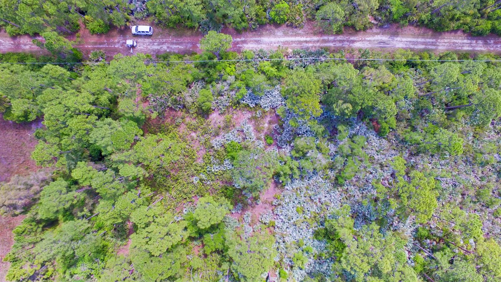 00 Bald Cypress Trail, Fort Pierce, FL 34951 photo 5