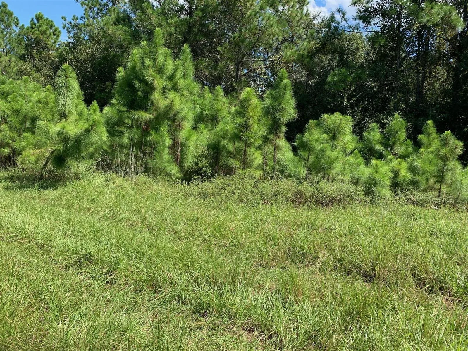 0 Old Grade Road, FL 33868