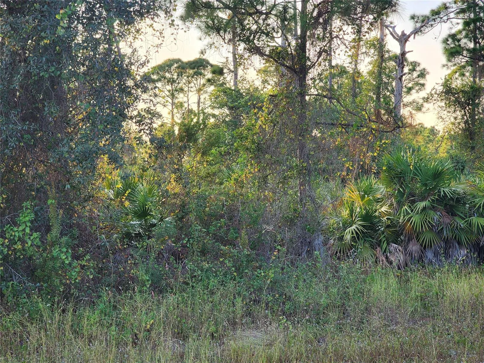 842 Genoa Avenue, Lehigh Acres, FL 33974