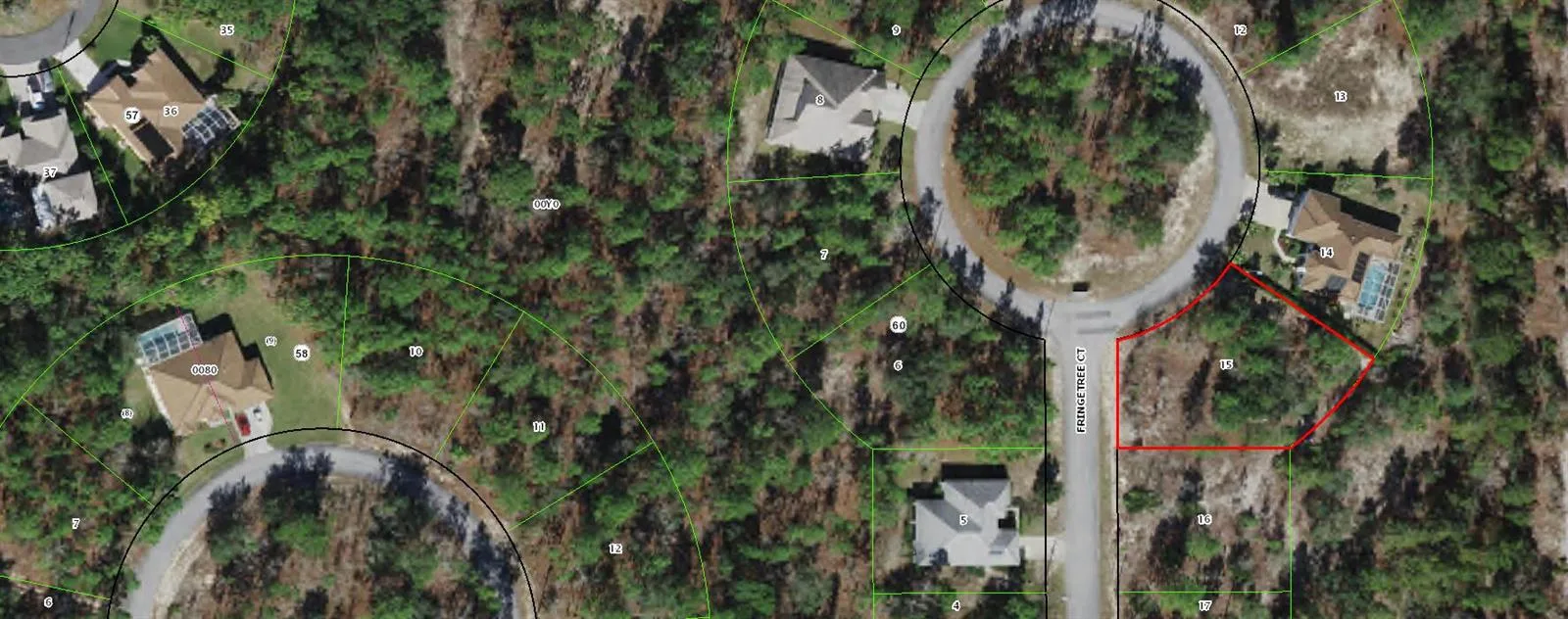 11 Fringetree Court, FL 34446