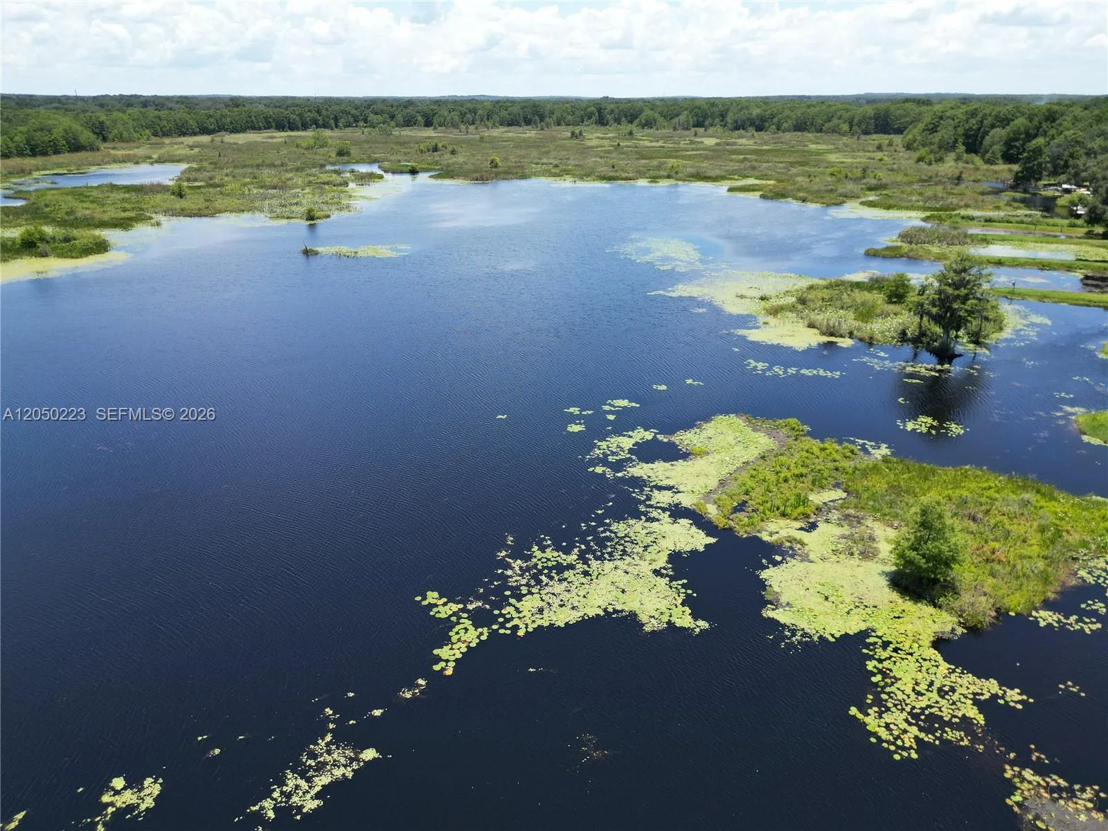 8781 S LAKESHORE DR FLORAL CITY, Other City - In The State Of Florida, FL 34436 photo 3