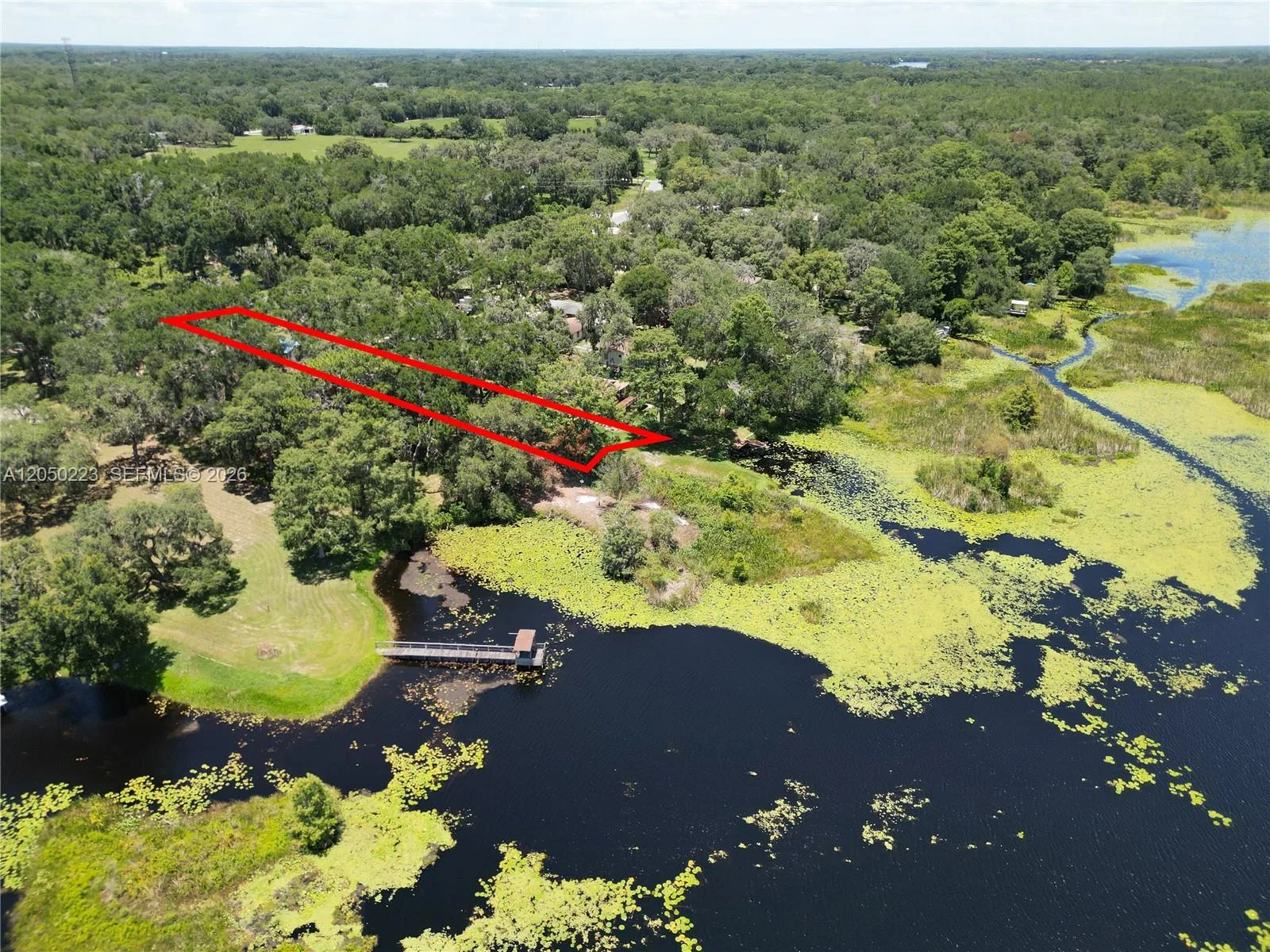 8781 S LAKESHORE DR FLORAL CITY, Other City - In The State Of Florida, FL 34436 photo 6