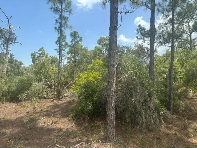 387 Marionette Avenue, Lake Placid, FL 33852