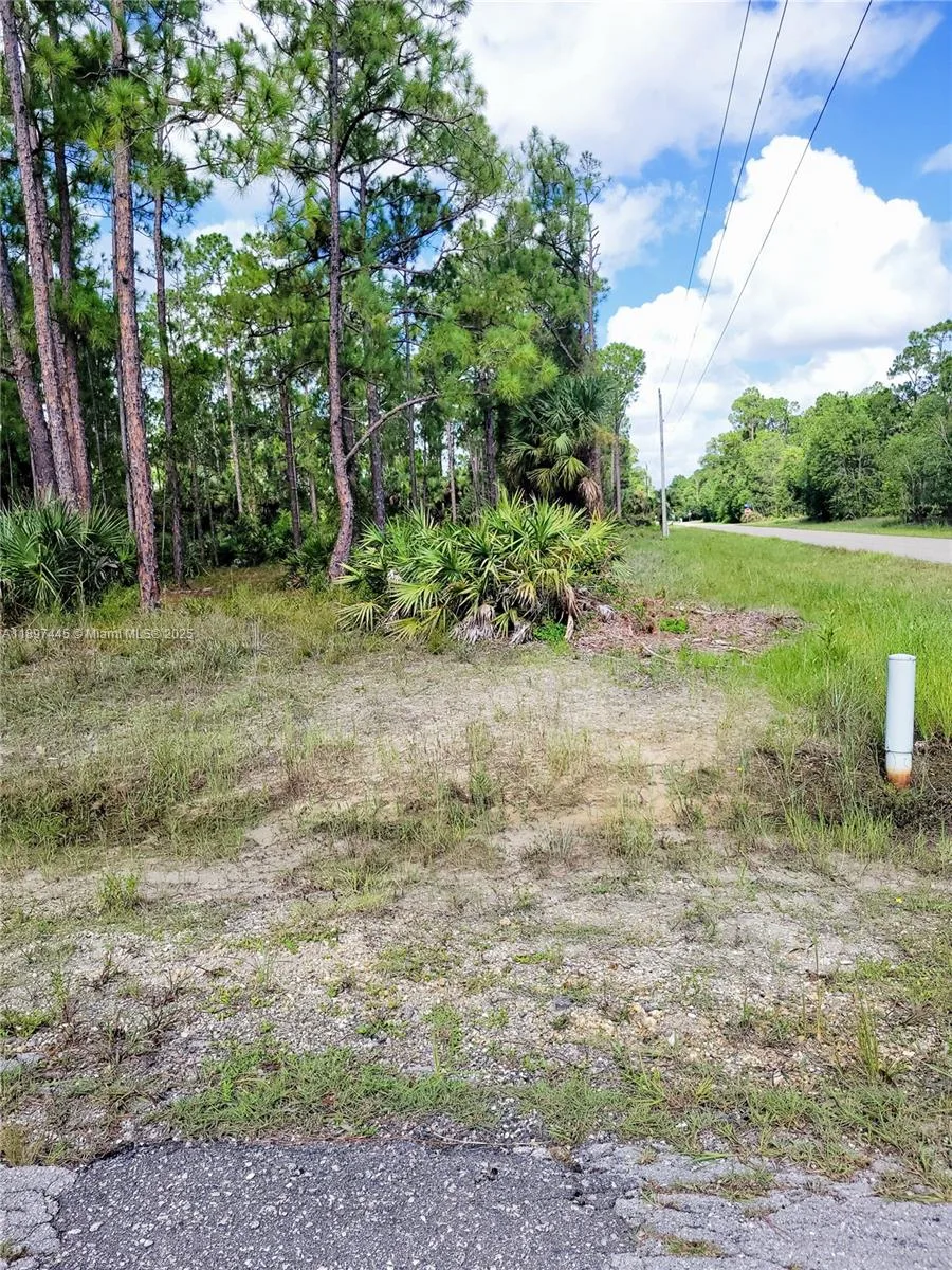 3706  Leeland Heights BLVD E, Lehigh Acres FL 33936 photo 2