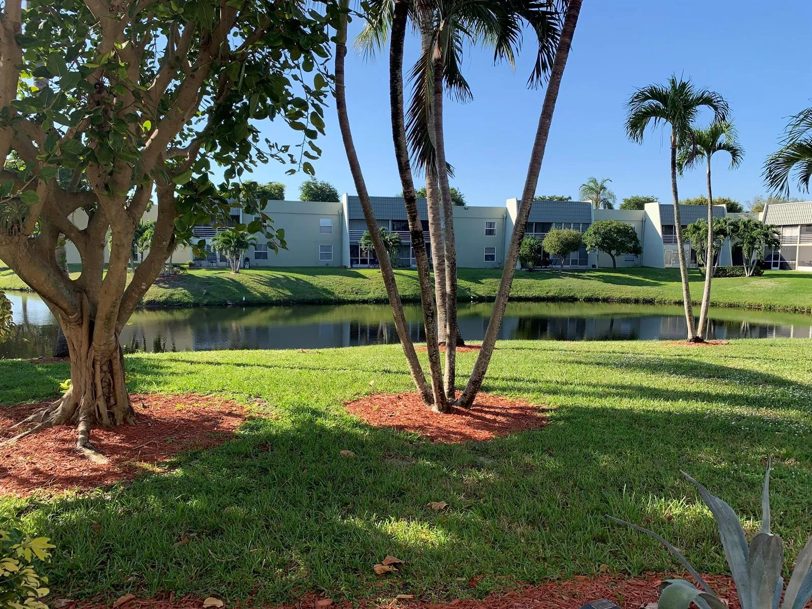 2500 Fiore Way # 109, Delray Beach, FL 33445 photo 10