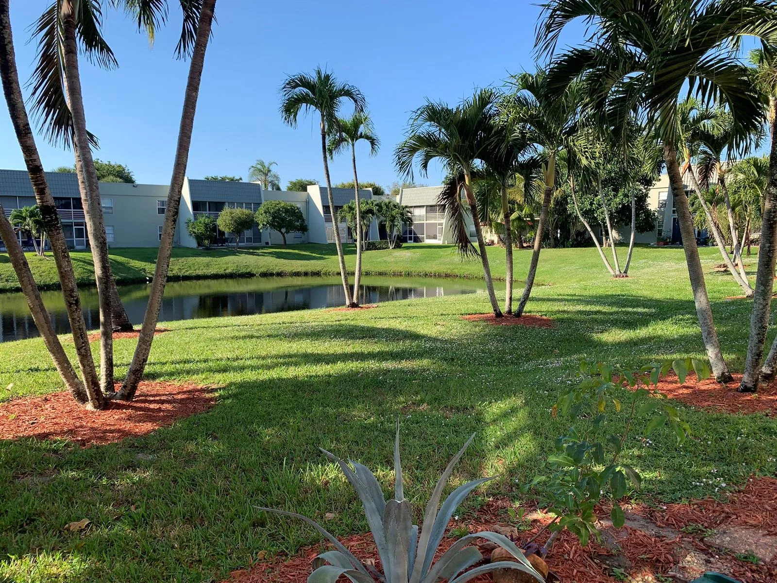 2500 Fiore Way # 109, Delray Beach, FL 33445 photo 11