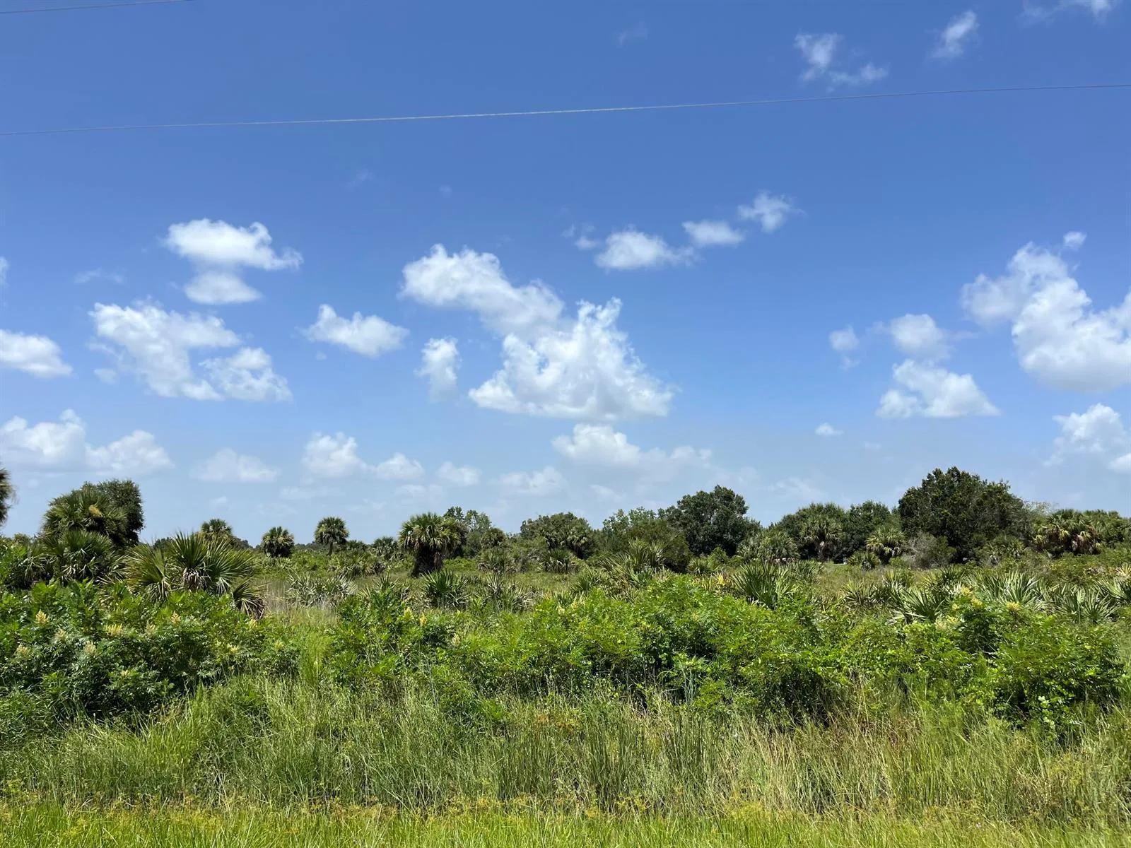 18325 NW 278th Street, Okeechobee, FL 34972 photo 2