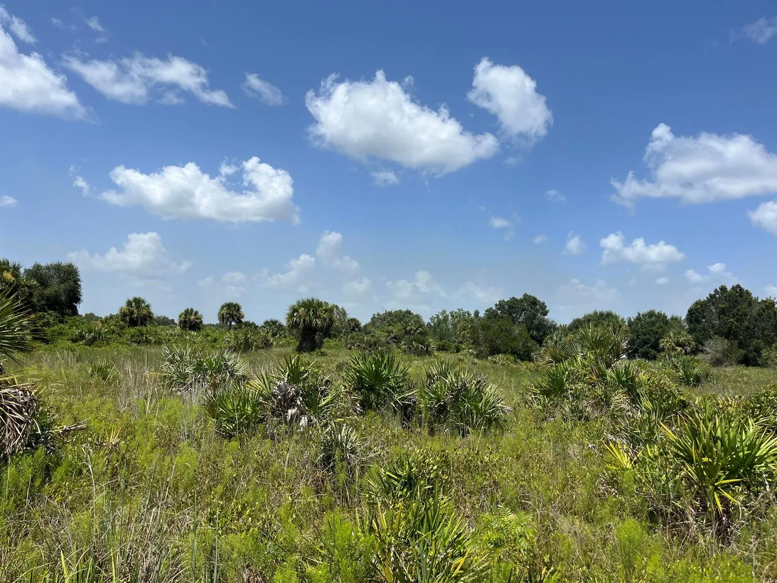18325 NW 278th Street, Okeechobee, FL 34972 photo 5
