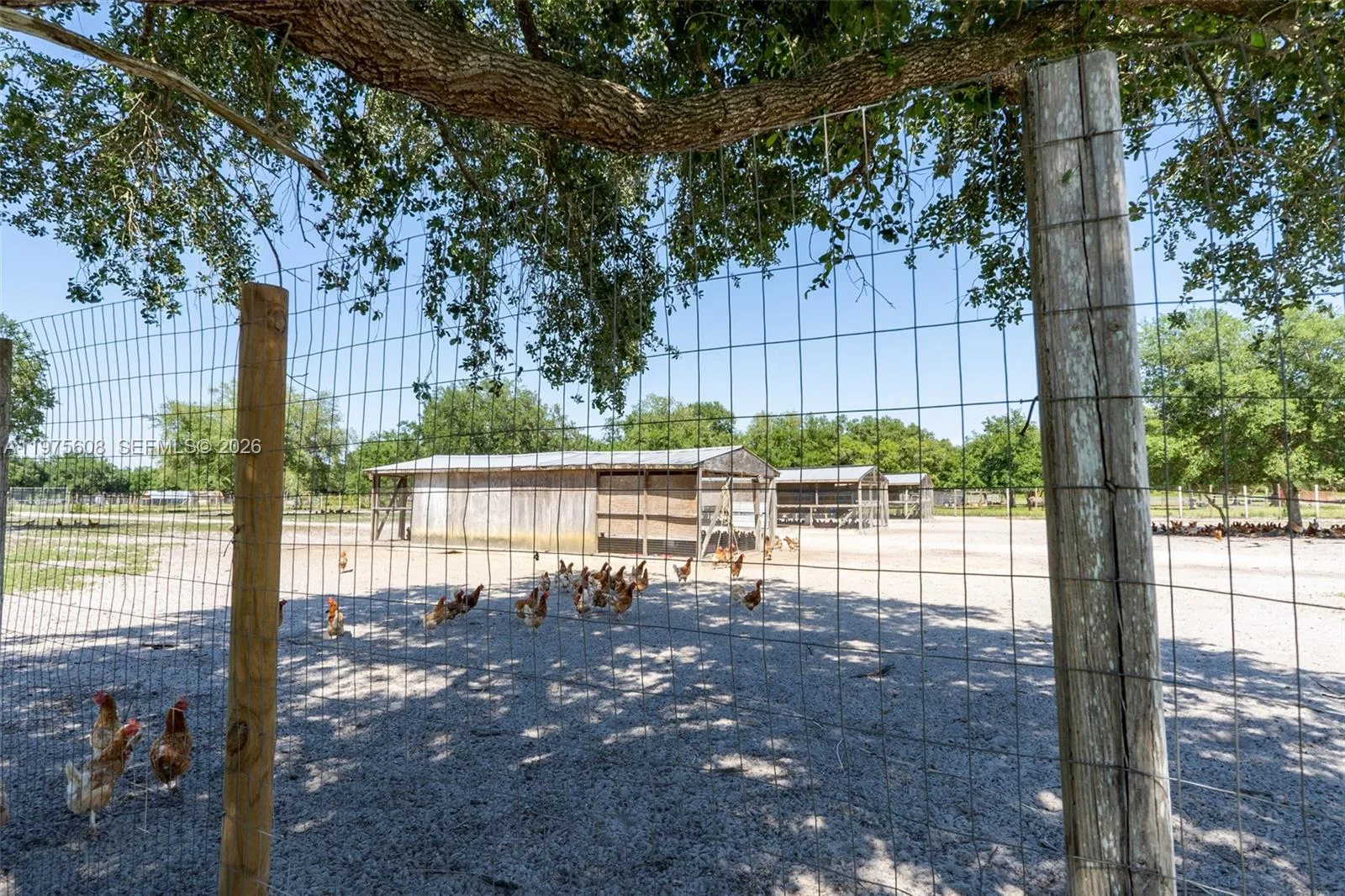 21810 NW 270TH ST, Okeechobee, FL 34972 photo 5