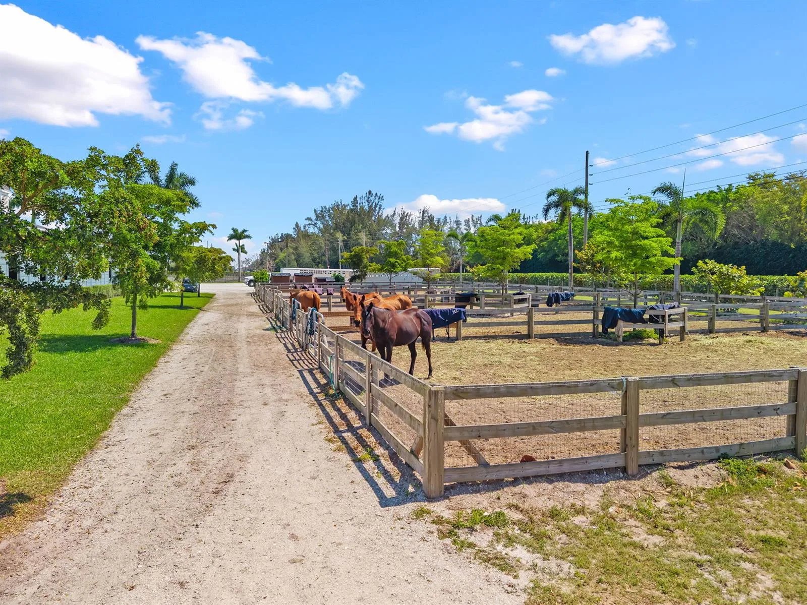 12059 S 50th St S, Wellington, FL 33449 photo 10