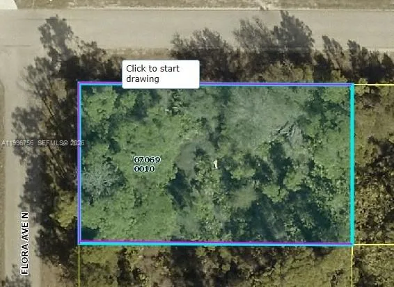 3706 Flora Ave N, Lehigh Acres, FL 33971