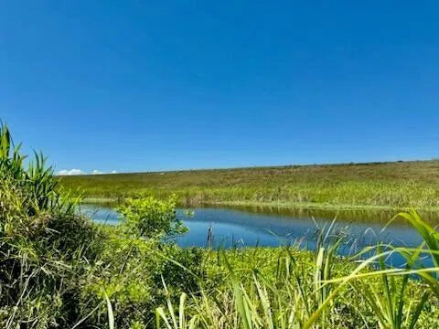 5646 Us Hwy 441, Okeechobee, FL 34974 photo 8