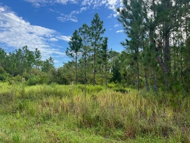 1137 Greenfield Street, Lake Placid, FL 33852 photo 10