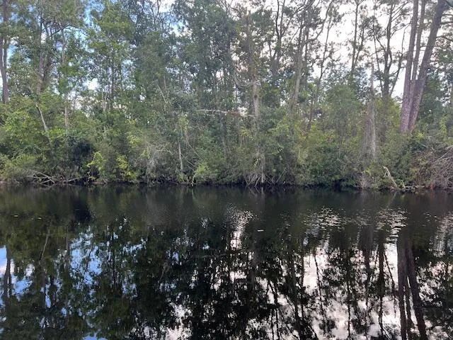 1137 Greenfield Street, Lake Placid, FL 33852 photo 12