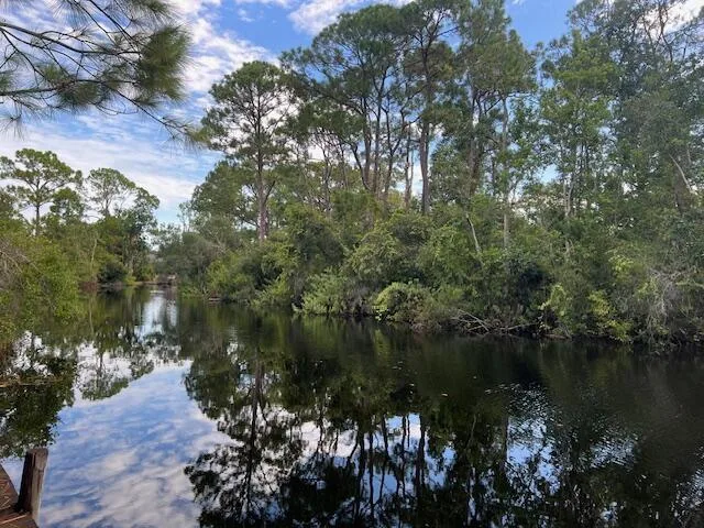 1137 Greenfield Street, Lake Placid, FL 33852 photo 13
