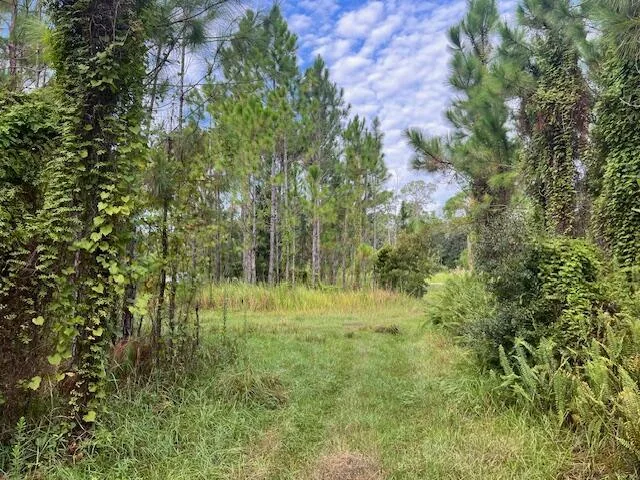 1137 Greenfield Street, Lake Placid, FL 33852 photo 2