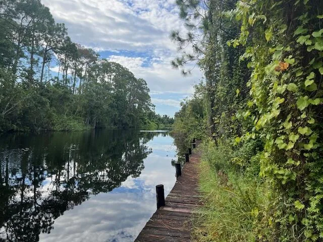 1137 Greenfield Street, Lake Placid, FL 33852 photo 3