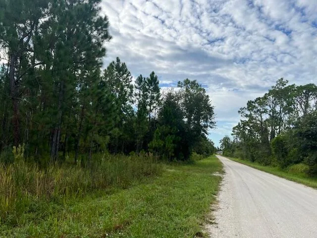 1137 Greenfield Street, Lake Placid, FL 33852 photo 4
