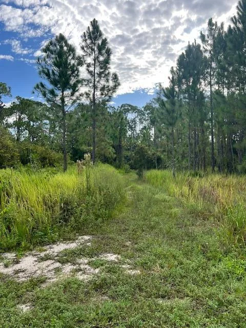 1137 Greenfield Street, Lake Placid, FL 33852 photo 5