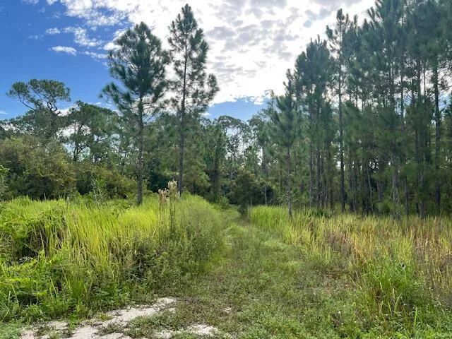 1137 Greenfield Street, Lake Placid, FL 33852 photo 6