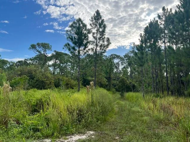 1137 Greenfield Street, Lake Placid, FL 33852 photo 7