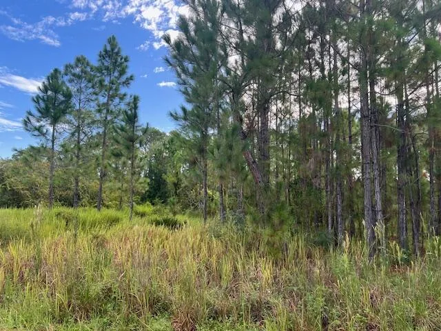 1137 Greenfield Street, Lake Placid, FL 33852 photo 9