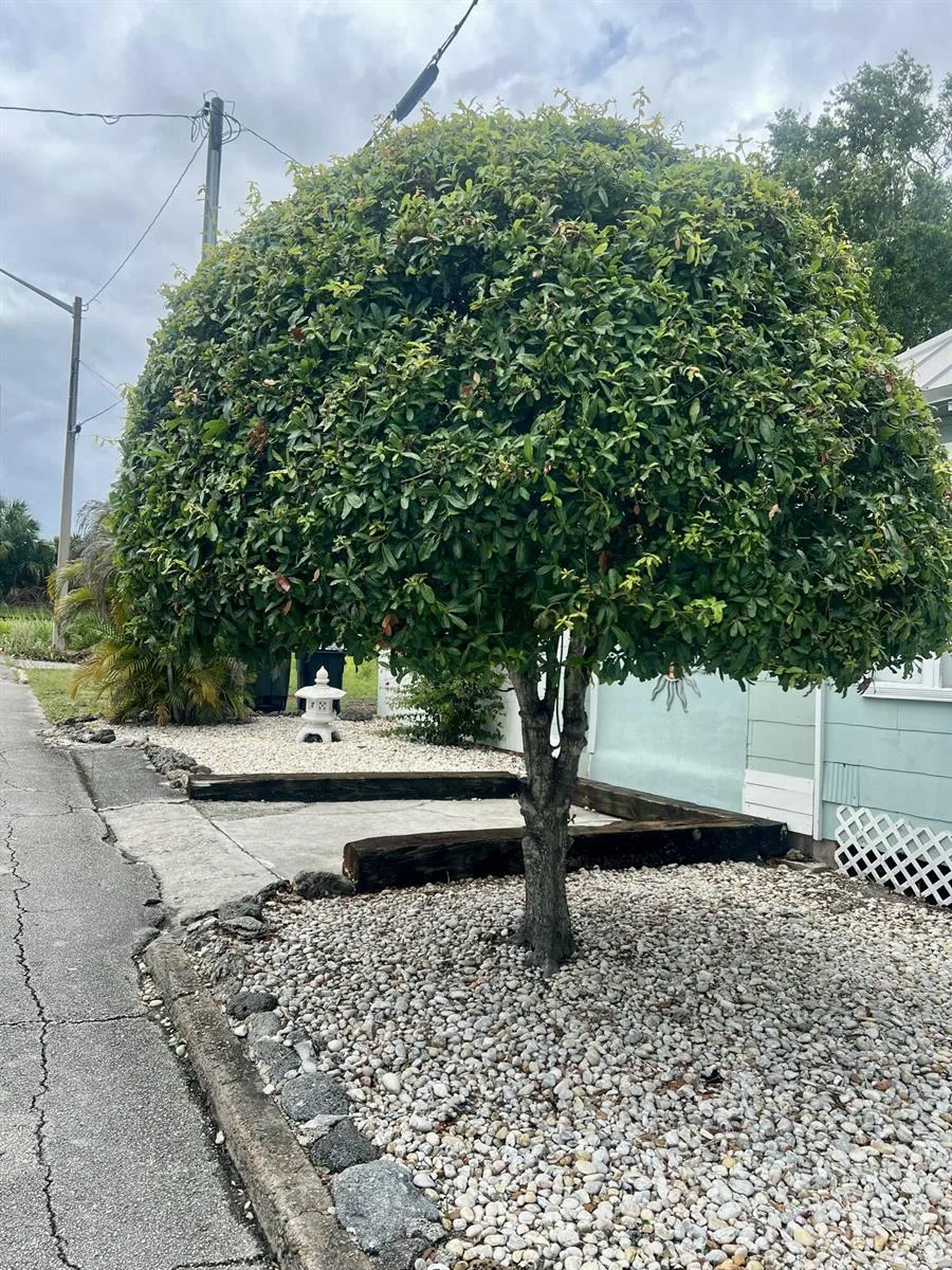 208 Avenue E, Fort Pierce, FL 34950 photo 10