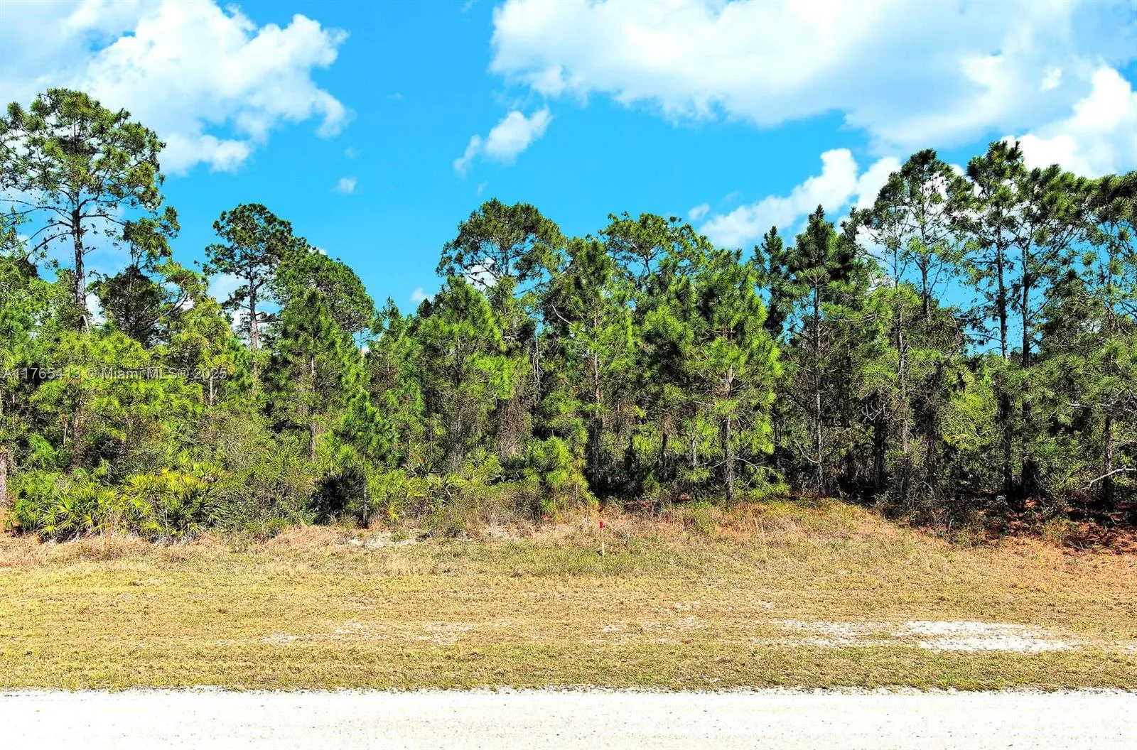 655 Columbus Blvd, Lehigh Acres, FL 33974 photo 3