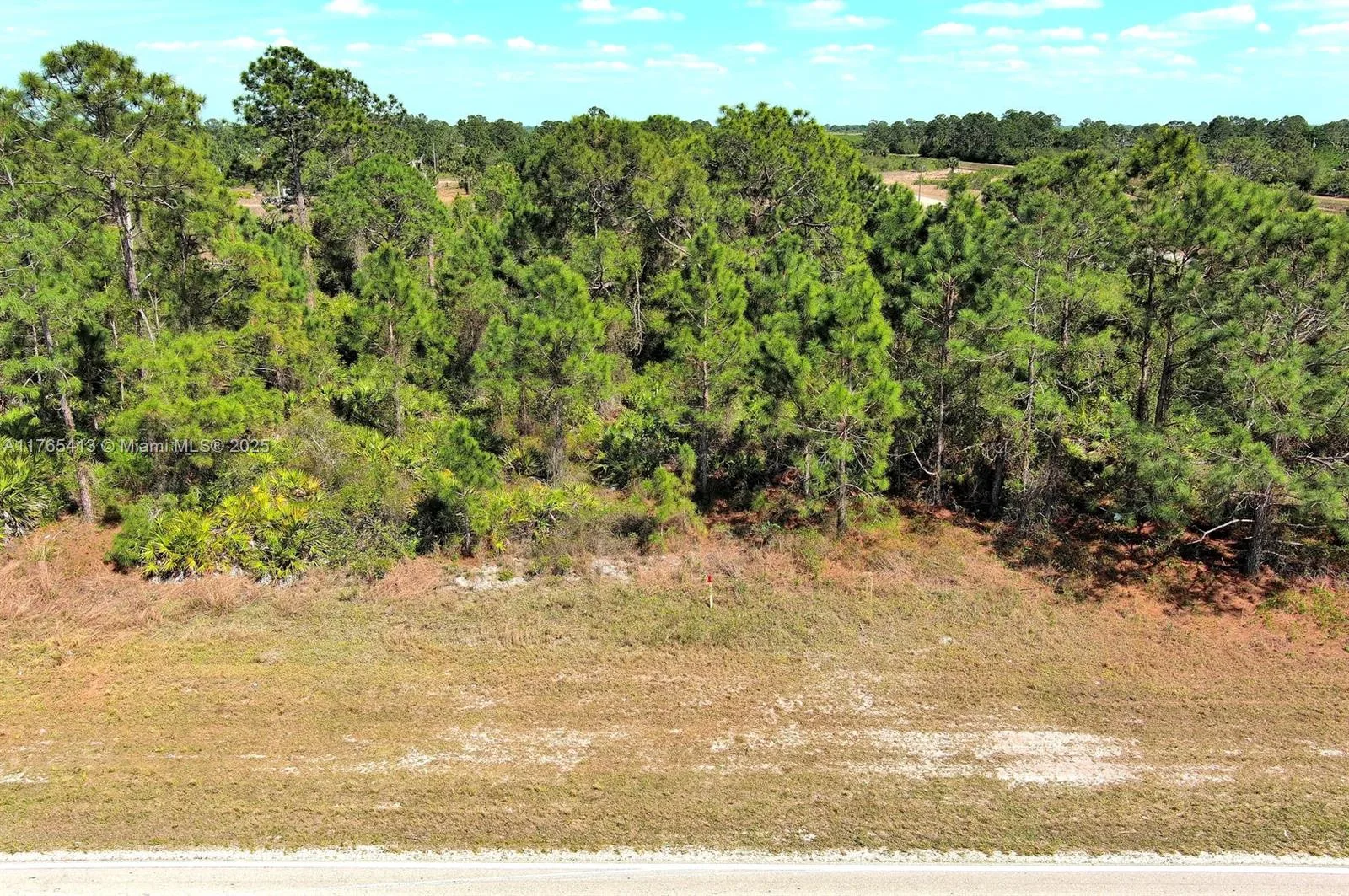 655 Columbus Blvd, Lehigh Acres, FL 33974 photo 4
