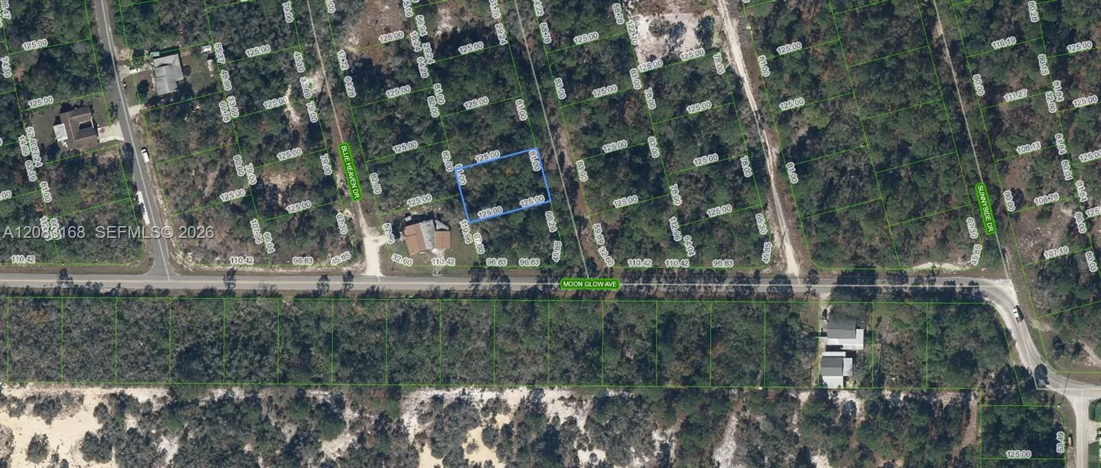 204 Rainbow Drive, Lake Placid, FL 33852