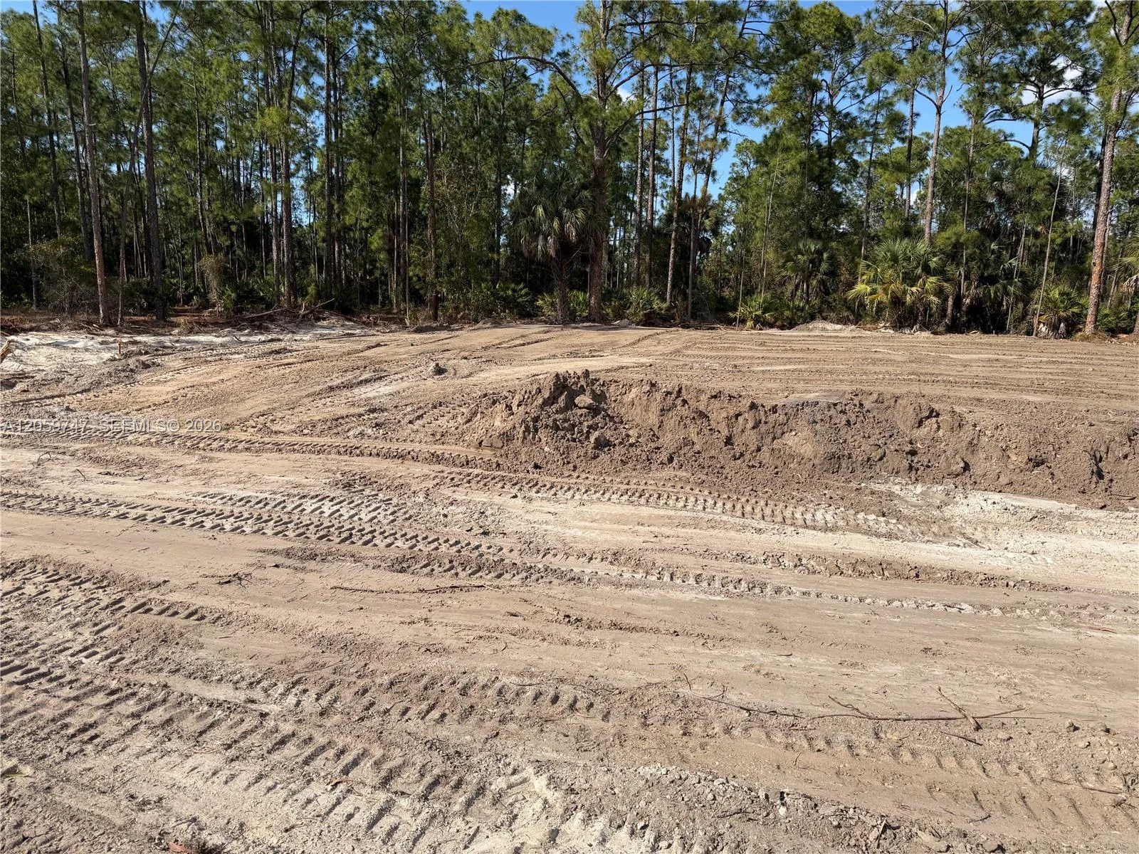 1305 E 11 St, Lehigh Acres, FL 33972 photo 3